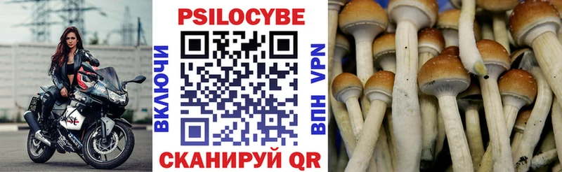 дарнет шоп  Сибай  Галлюциногенные грибы Magic Shrooms 